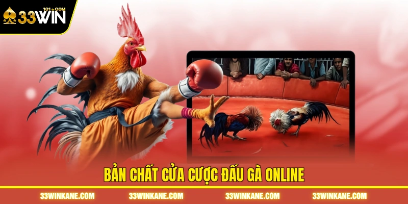 Đá Gà Online 33WIN - Sôi Động Với Những Trận Đấu Kịch Tính 4 Bản chất cửa cược đấu gà online