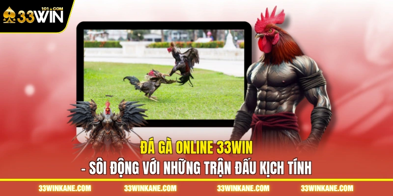 Đá Gà Online 33WIN - Sôi Động Với Những Trận Đấu Kịch Tính 1 Đá gà Online