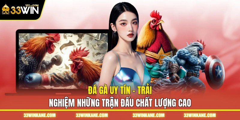 Đá Gà Uy Tín - Trải Nghiệm Những Trận Đấu Chất Lượng Cao 1 đá gà uy tín