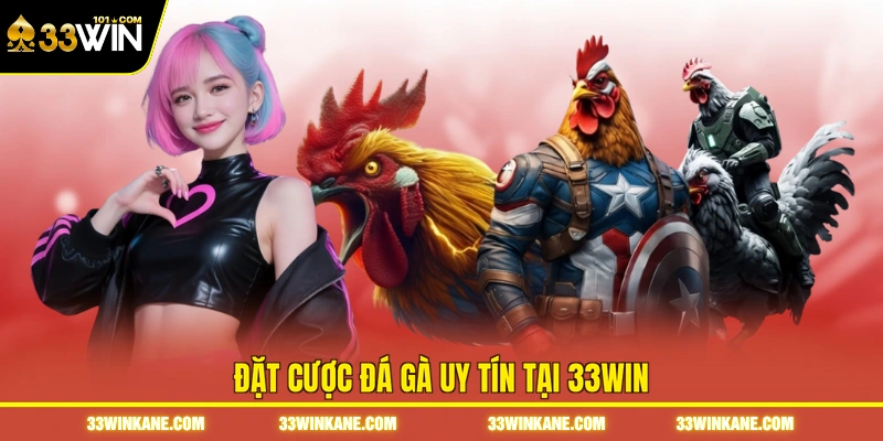 Đá Gà Uy Tín - Trải Nghiệm Những Trận Đấu Chất Lượng Cao 3 Đặt cược đá gà uy tín tại 33WIN