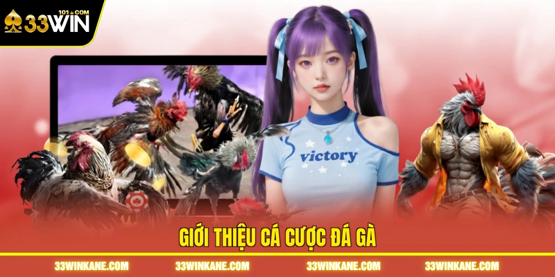 Đá Gà Online 33WIN - Sôi Động Với Những Trận Đấu Kịch Tính 2 Giới thiệu cá cược đá gà
