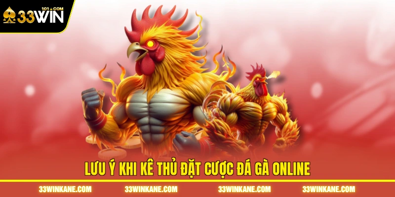 Đá Gà Uy Tín - Trải Nghiệm Những Trận Đấu Chất Lượng Cao 4 Lưu ý khi kê thủ đặt cược đá gà online