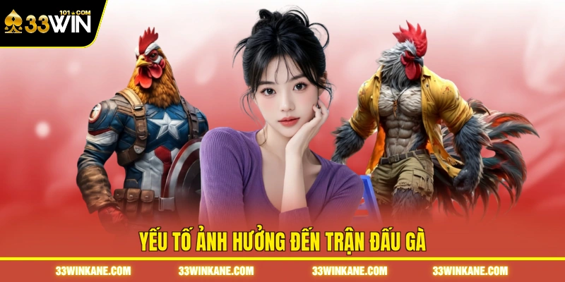 Đá Gà Đòn C1 - Theo Dõi Những Trận Đấu Đỉnh Cao tại 33WIN 4 Yếu tố ảnh hưởng đến trận đấu gà
